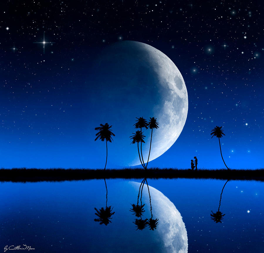 Midnight Moon