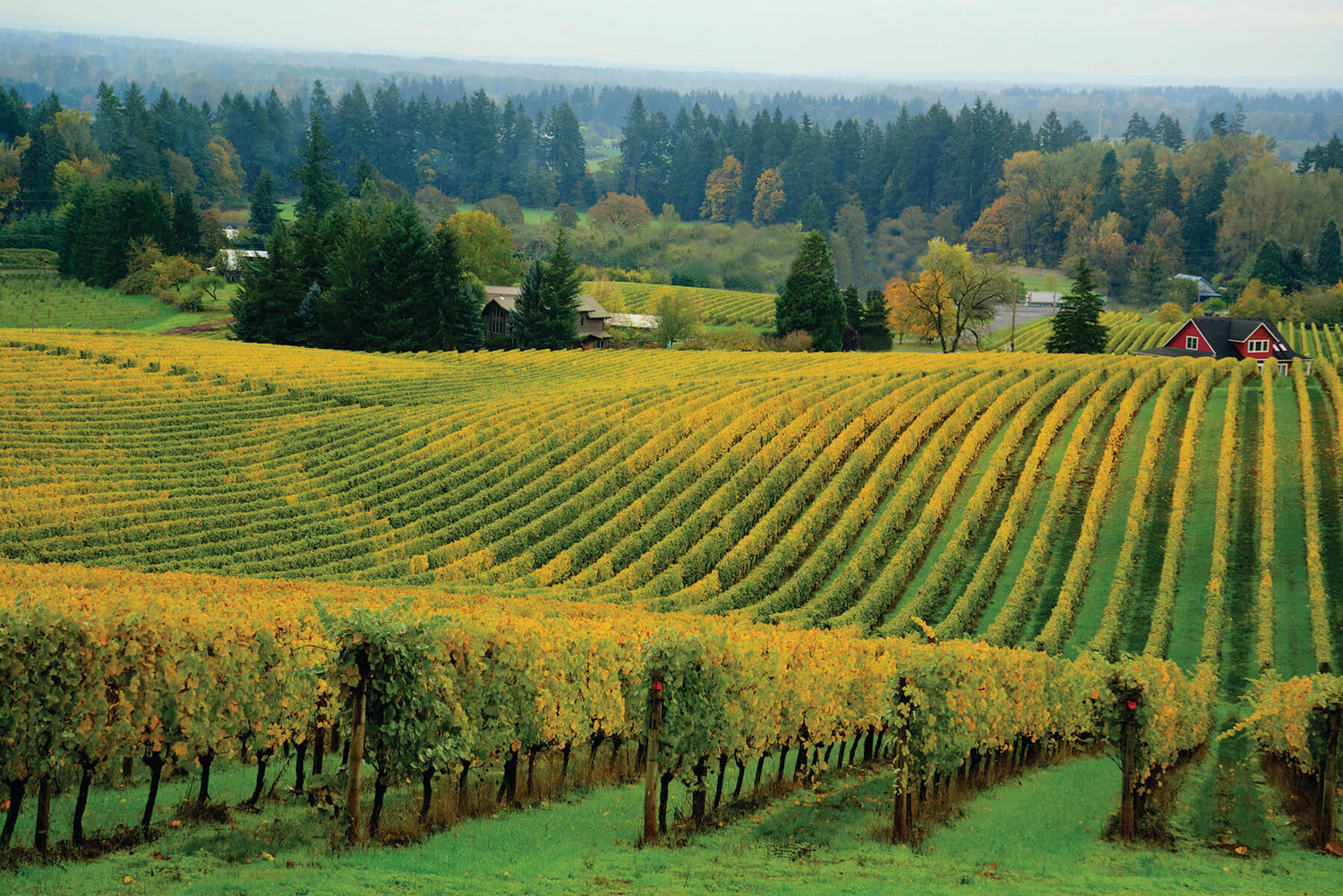 Willamette Valley